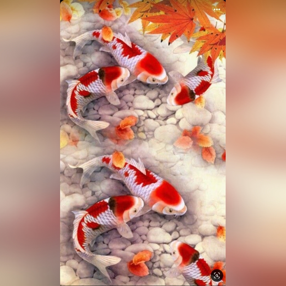 Meet your Posher, Dragonfrogger